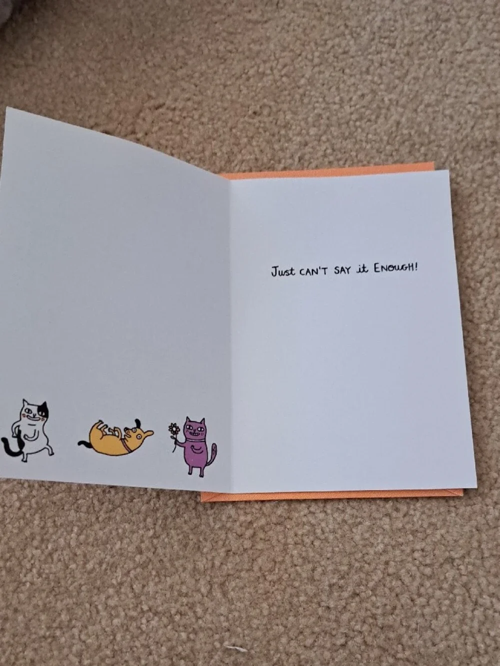 Thank You Cat Card – Orange, Purple, Yellow Designs